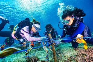 A group of scuba divers in scuba gear AI-generated content may be incorrect.