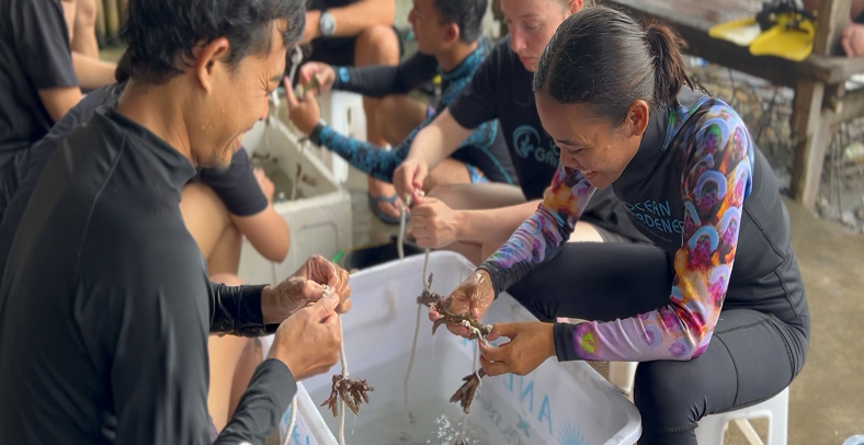 Marine biologists and volunteers fragmenting corals for coral restoration