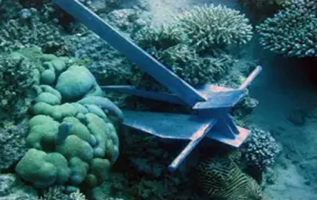 Anchor lodged in coral reef