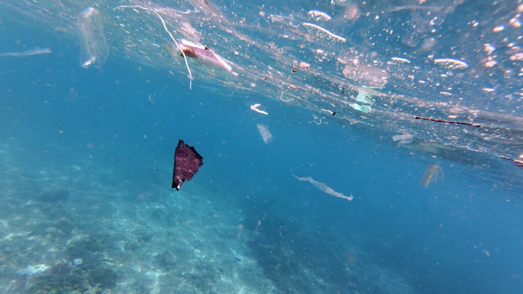 Pieces of macroplastic floating on the surface of the sea during a dive
