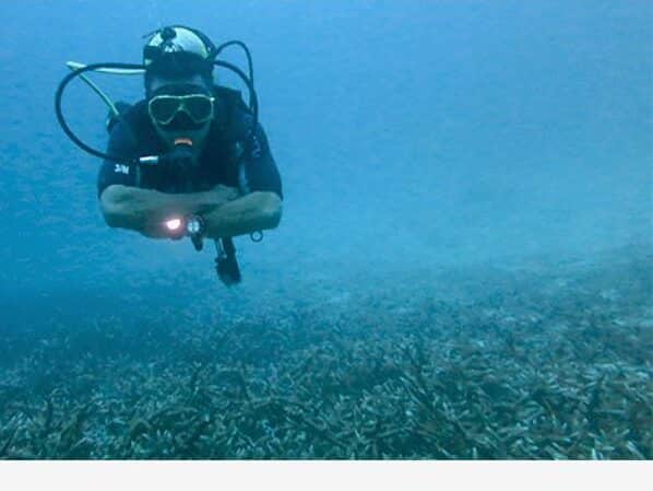 Our coral restoration student over a field of Acropora in Aceh, Indonesia