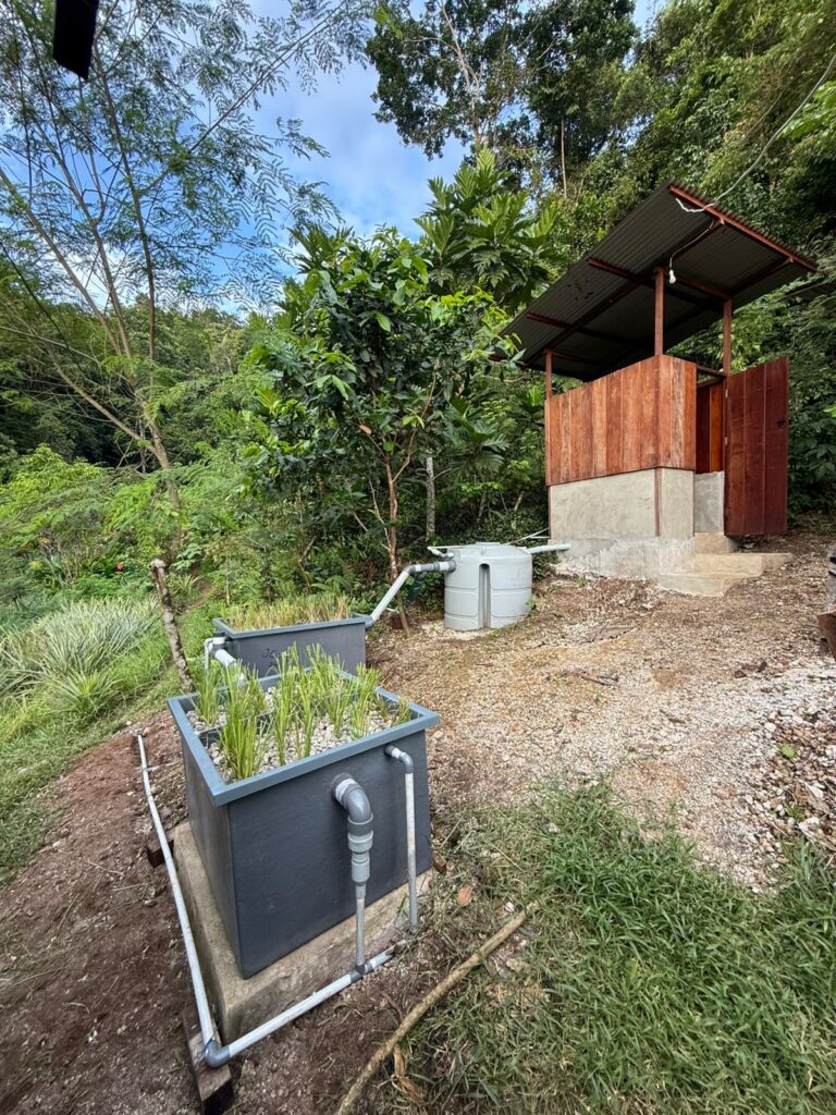A wastewater garden treating a single toilet in Indonesia.