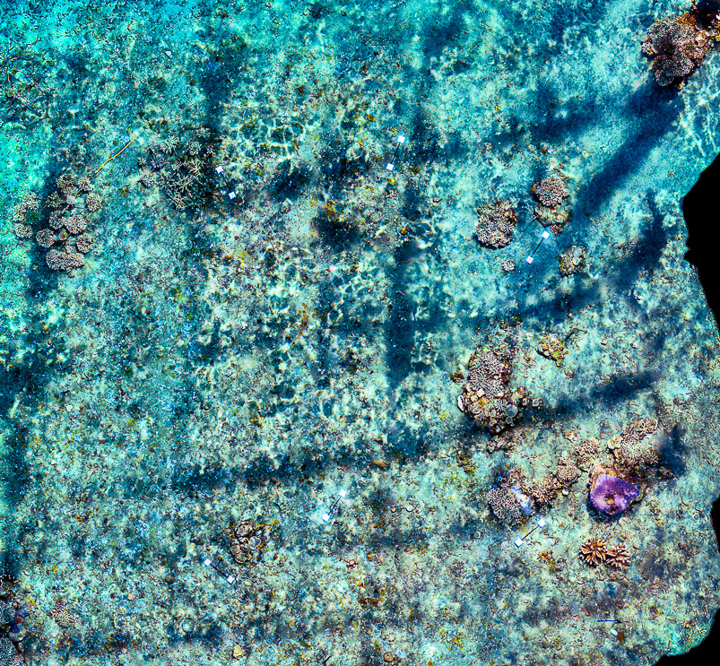 Amed Coral Restoration Site in Bali, Indonesia