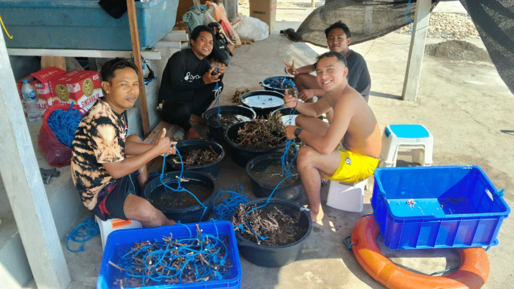 local Indonesian fishermen in Nusa Penida, Indonesia planting corals to fix their damaged reefs