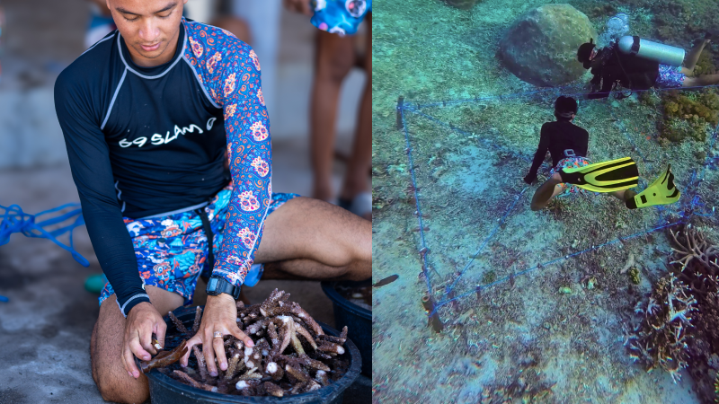 Fishermen planting corals in a damaged section of reefs in Nusa Penida, Bali
