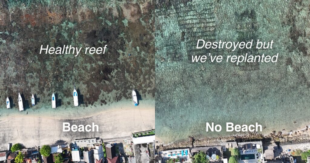 Comparison how a reef helps build a beach