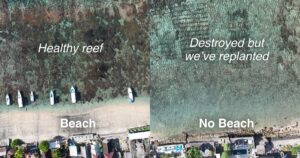 Comparison how a reef helps build a beach