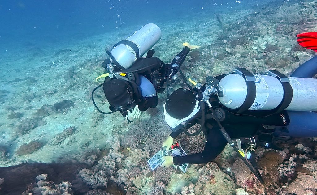 2 scuba divers identifying corals in Amed, Bali