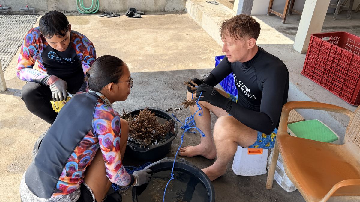 Ocean Gardener team members in long-sleeve rash guards preparing coral fragments on land before heading out to the nursery
