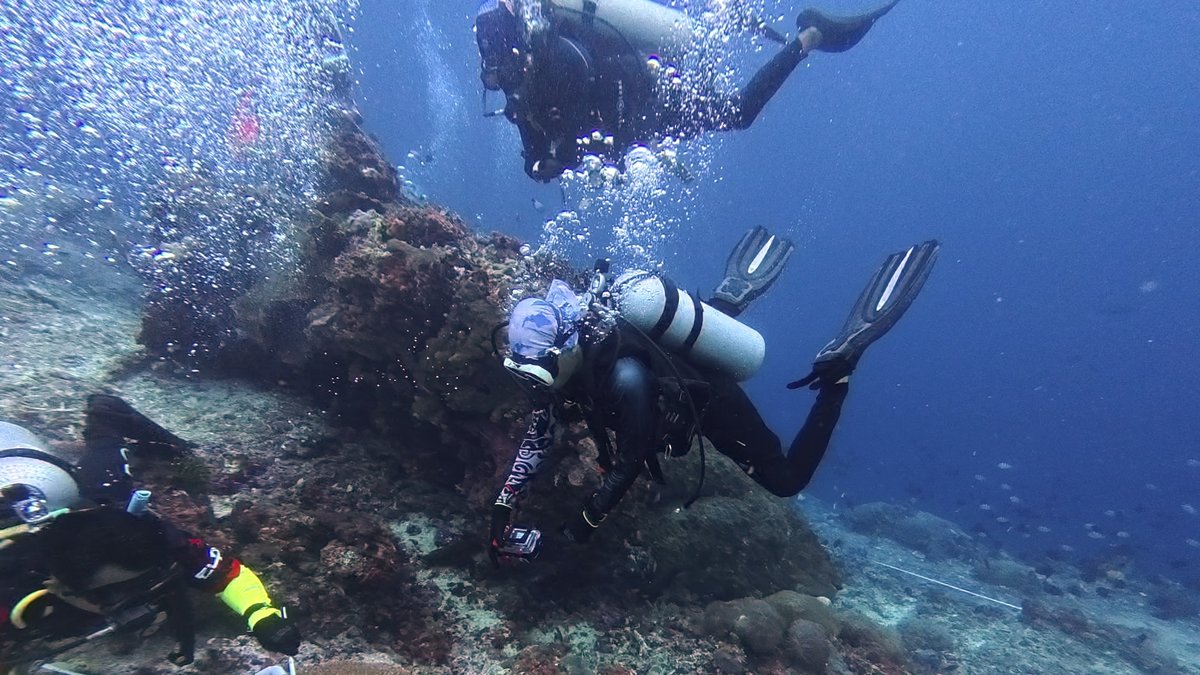 Ocean Gardener course participants conducting a quadrat transect survey on a coral reef during training
