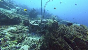 An improperly installed mooring line and chain draped across the reef near Ped, Nusa Penida