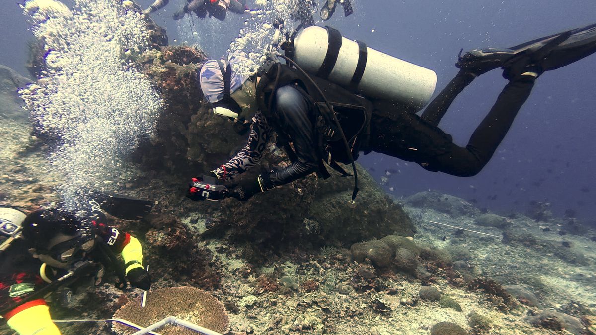 Divers running a quadrat transect survey to monitor coral cover, Nusa Penida