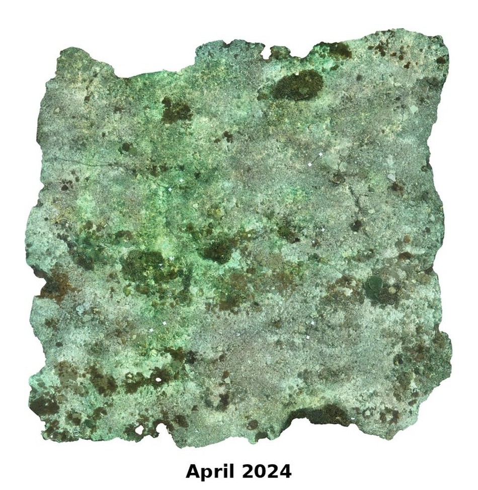 Photogrammetry orthomosaic of the Shallow Table Acropora nursery in April 2024, mostly bare rubble and invasive Xenia soft coral before outplanting