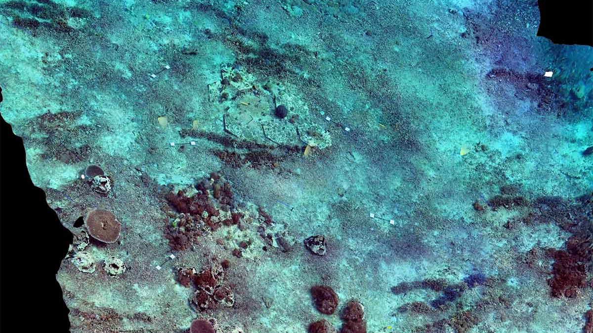 Photogrammetry model of the Giant Clam Garden at Ped, Nusa Penida, March 2022